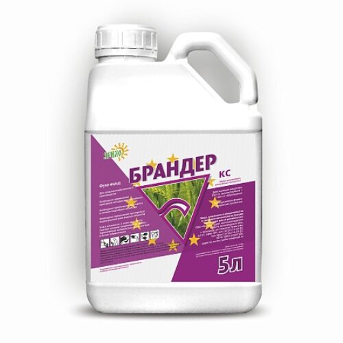 Брандер