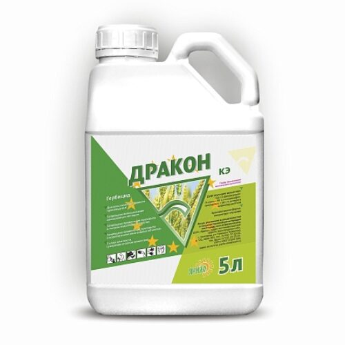 Дракон