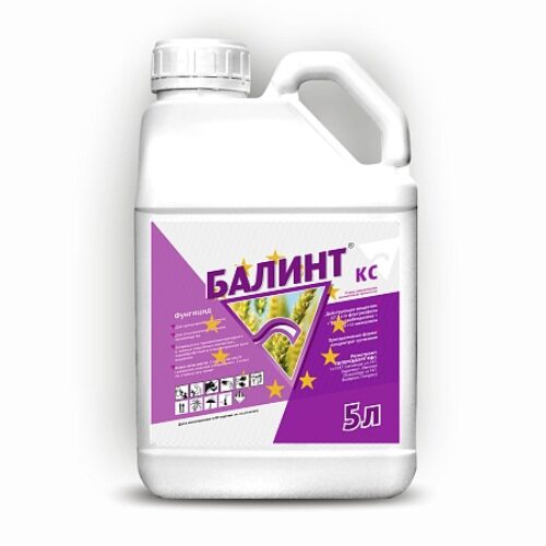 Балинт