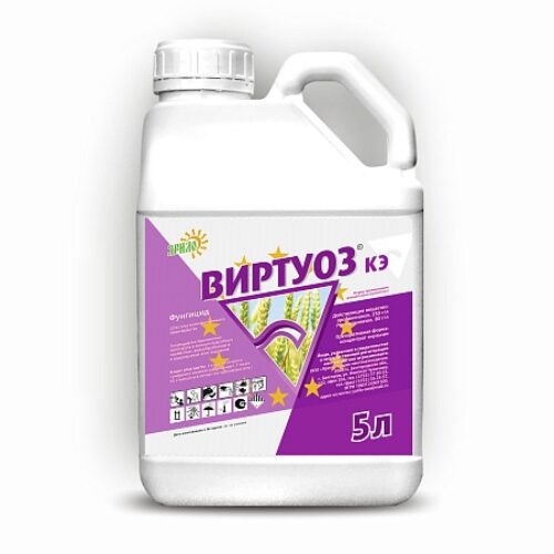 Виртуоз