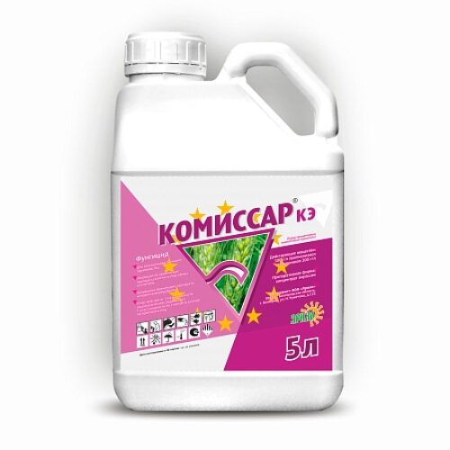 Комиссар