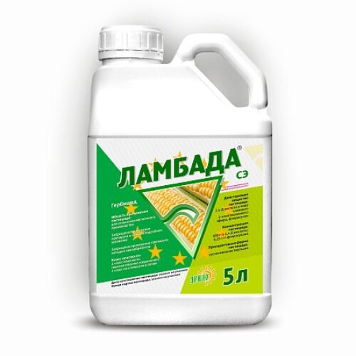 Ламбада