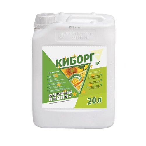 Киборг