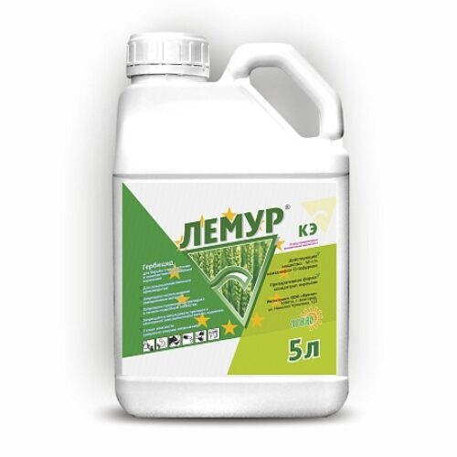 Лемур