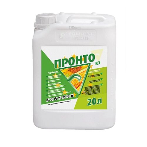 Пронто