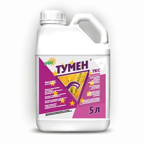 Тумен